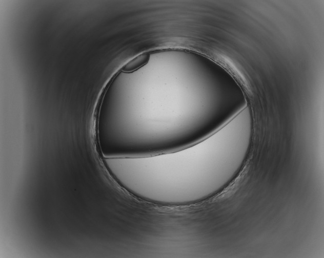 X0000094770900200711160828
