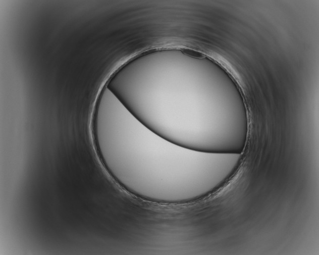X0000094770901200711160828