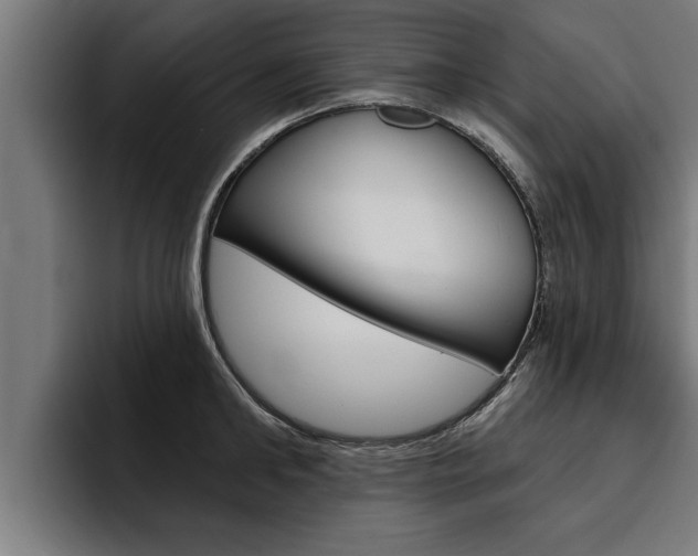 X0000094770902200711160828