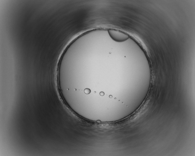 X0000094770903200711160828