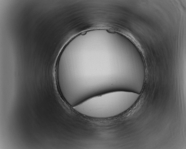 X0000094770907200711160828