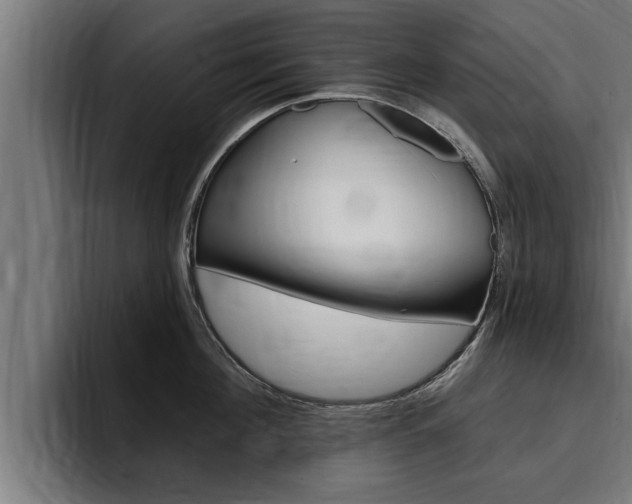 X0000094770908200711160828