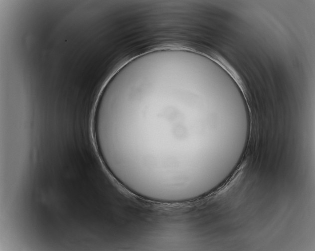X0000094770909200711160828