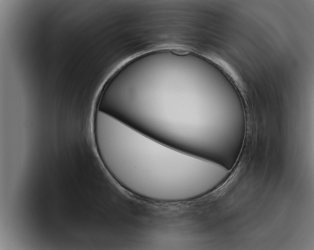 X0000094770910200711160828
