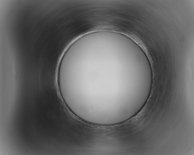 X0000094770912200711160828