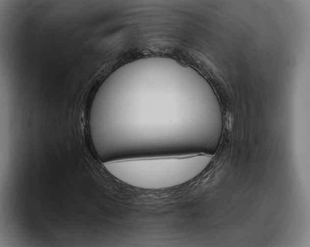 X0000094770915200711160827
