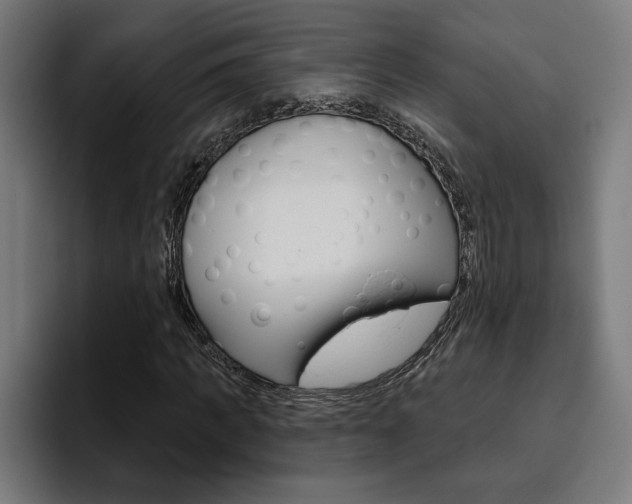 X0000094770917200711160827