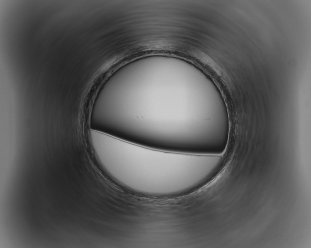 X0000094770922200711160827