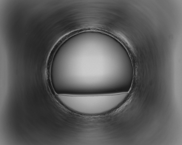 X0000094770924200711160827