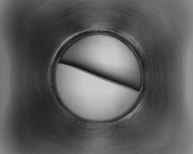 X0000094770926200711160827