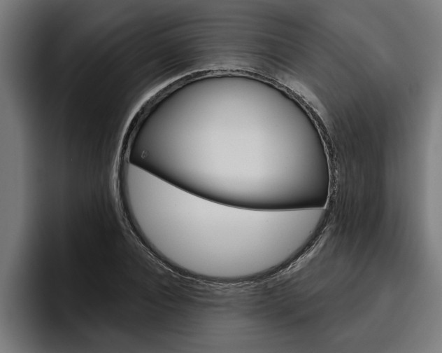 X0000094770928200711160827