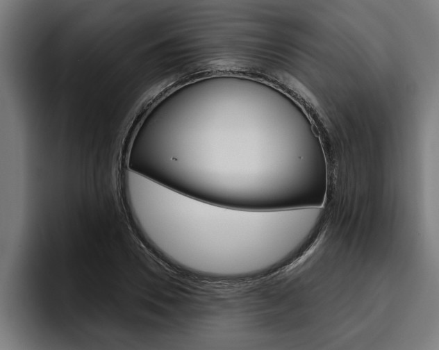X0000094770930200711160827