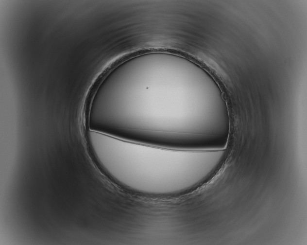 X0000094770934200711160827