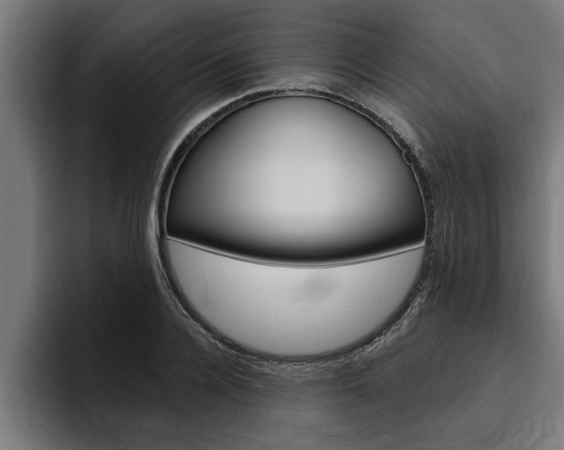 X0000094770936200711160827