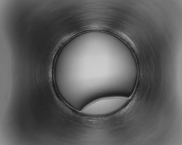 X0000094770938200711160827