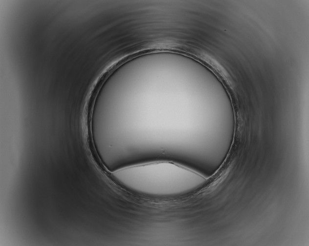X0000094770939200711160827