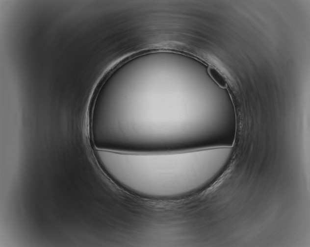 X0000094770940200711160827