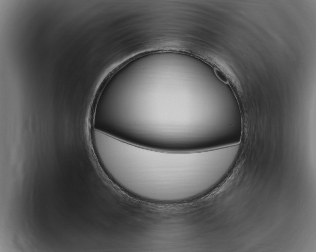 X0000094770944200711160827