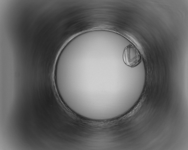 X0000094770948200711160827