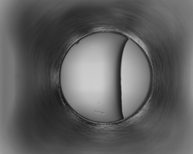 X0000094770953200711160827