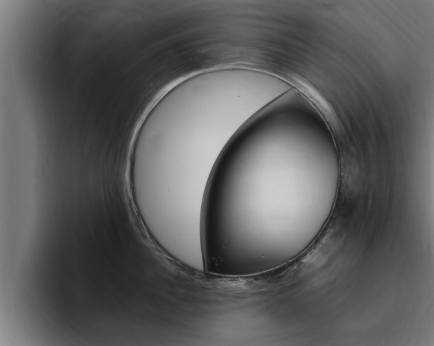 X0000094770956200711160827
