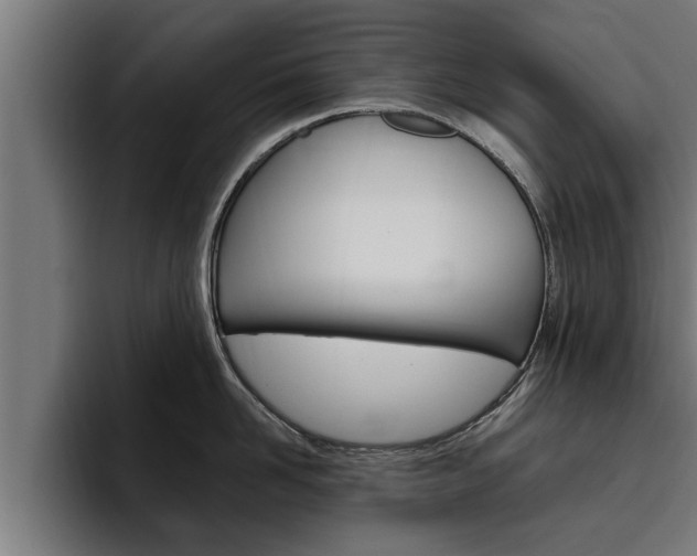 X0000094770958200711160827