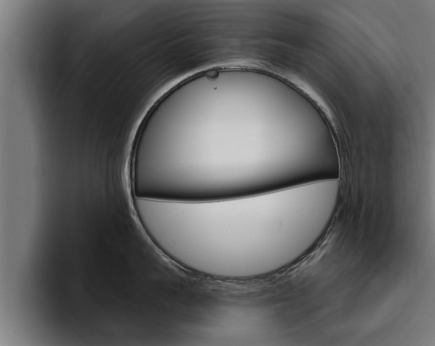 X0000094770959200711160827