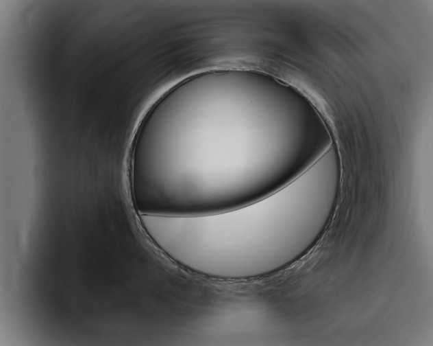 X0000094770960200711160827