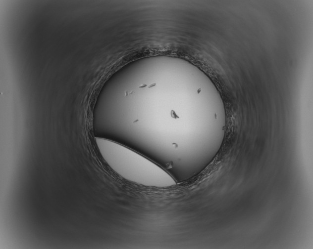 X0000094770961200711160827