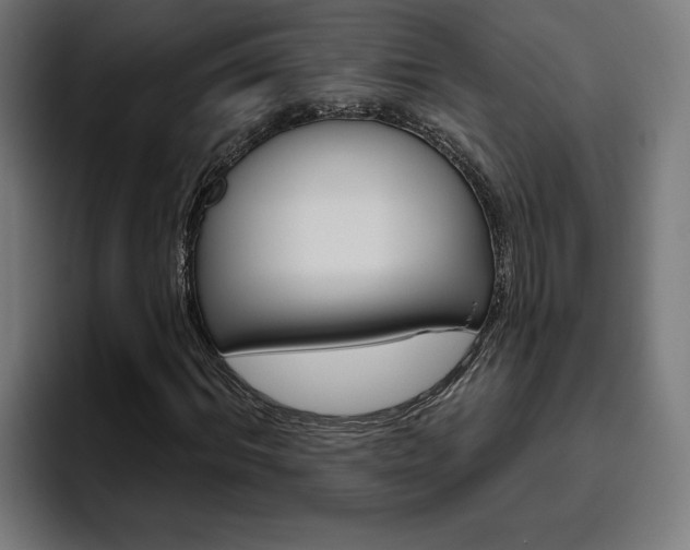 X0000094770964200711160827
