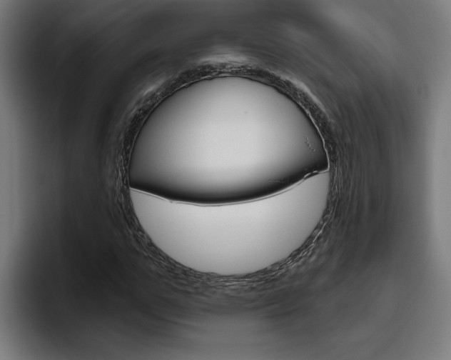 X0000094770967200711160827