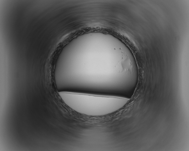 X0000094770968200711160827