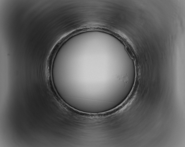 X0000094770973200711160827