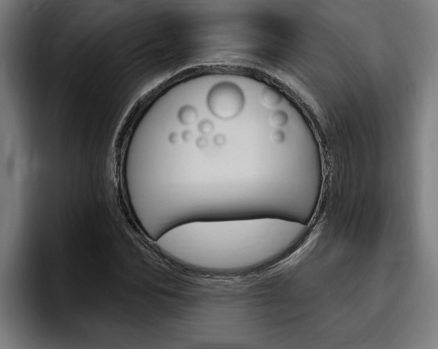 X0000094770974200711160827