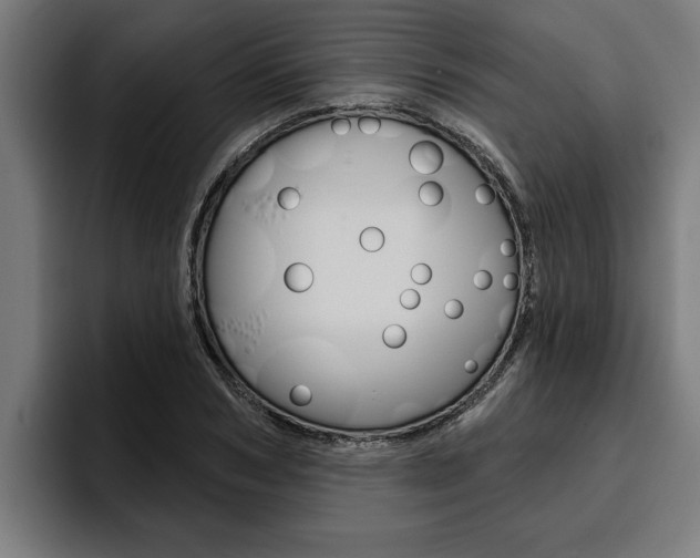 X0000094770978200711160827