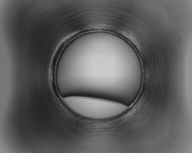 X0000094770979200711160827