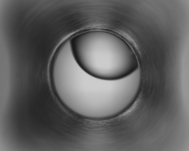 X0000094770981200711160827