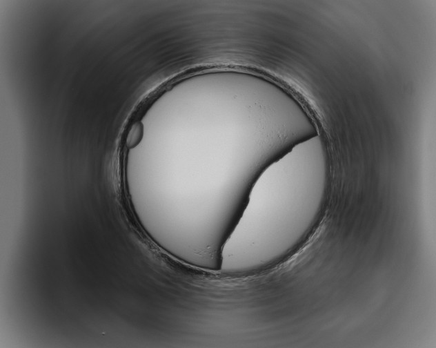 X0000094770982200711160827