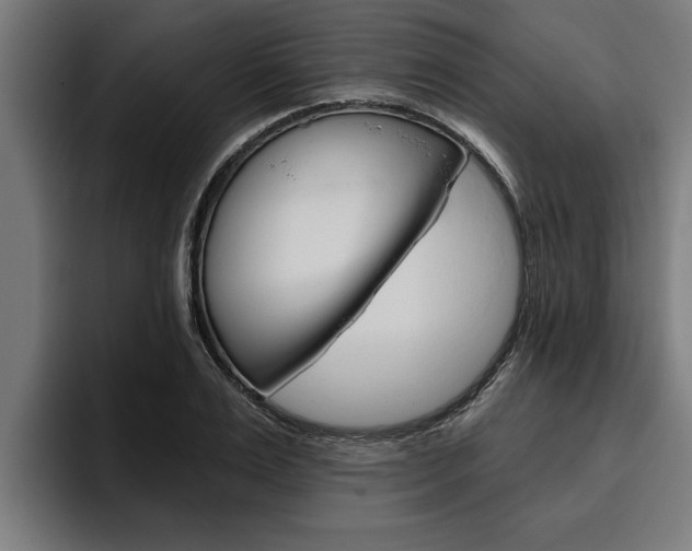 X0000094770983200711160827