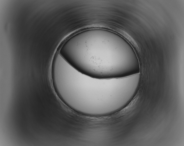 X0000094770988200711160827