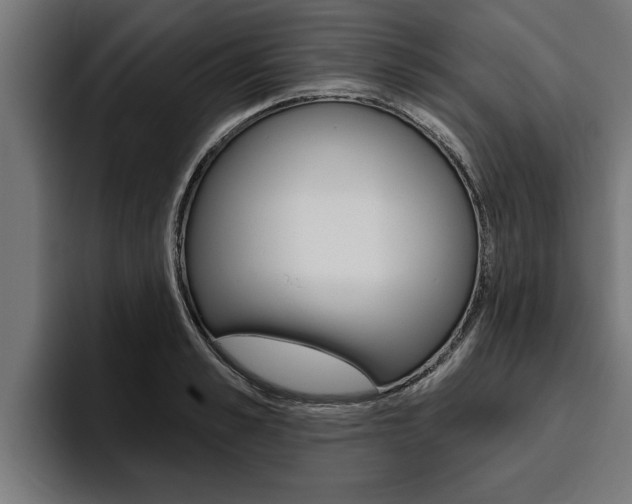 X0000094770989200711160827