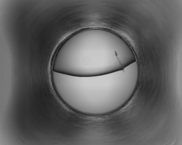 X0000094770990200711160826