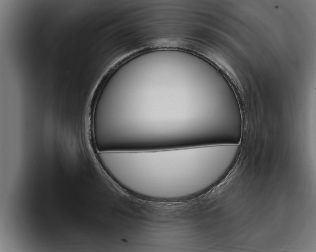 X0000094770992200711160826