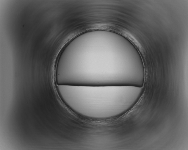 X0000094770994200711160826