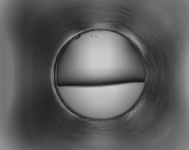 X0000094770999200711160826