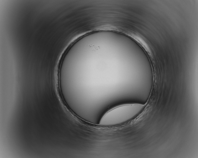 X0000094771000200711160826