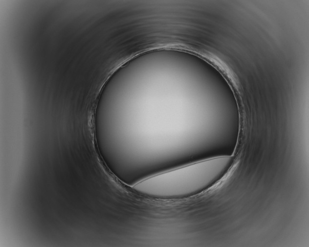 X0000094771001200711160826