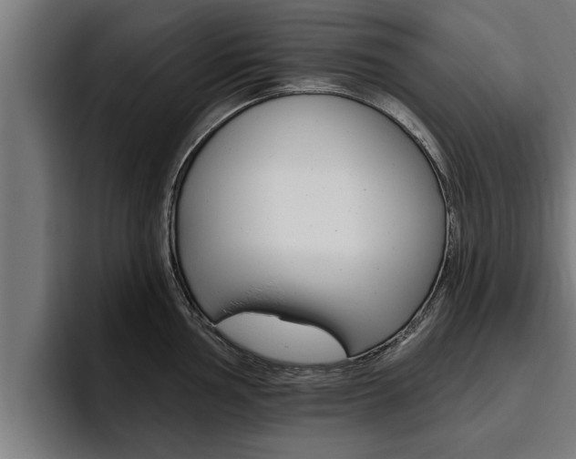 X0000094771002200711160826