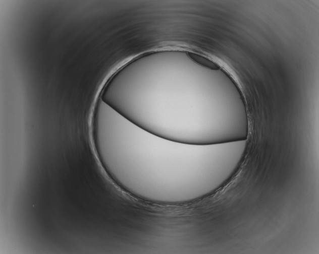 X0000094771003200711160826