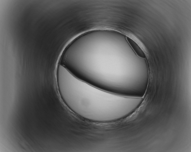 X0000094771004200711160826